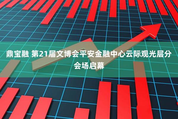 鼎宝融 第21届文博会平安金融中心云际观光层分会场启幕