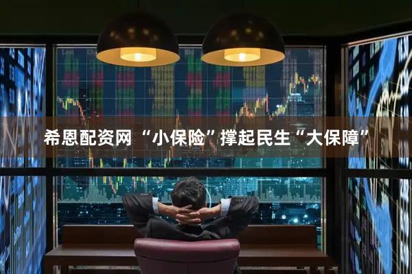 希恩配资网 “小保险”撑起民生“大保障”