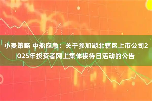 小麦策略 中船应急：关于参加湖北辖区上市公司2025年投资者网上集体接待日活动的公告