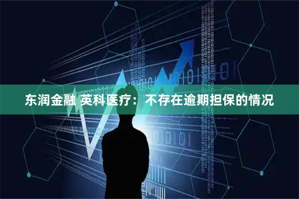 东润金融 英科医疗：不存在逾期担保的情况