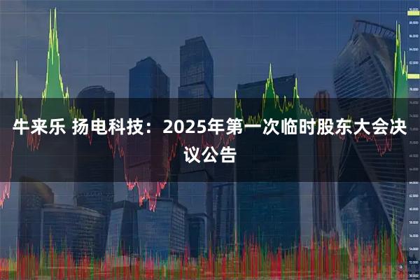 牛来乐 扬电科技：2025年第一次临时股东大会决议公告