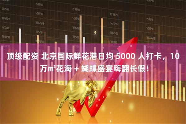 顶级配资 北京国际鲜花港日均 5000 人打卡，10 万㎡花海 + 蝴蝶盛宴嗨翻长假！