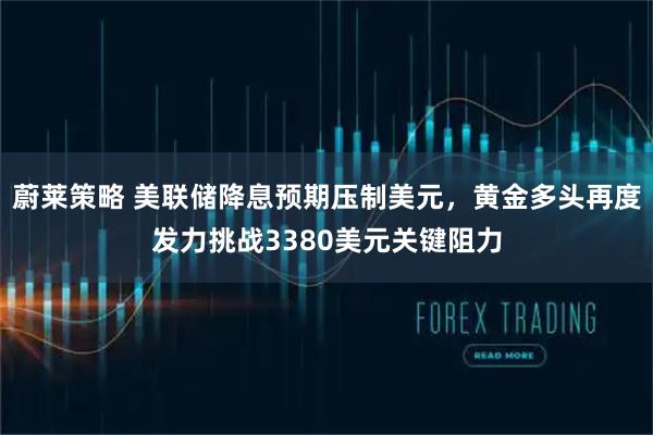 蔚莱策略 美联储降息预期压制美元，黄金多头再度发力挑战3380美元关键阻力