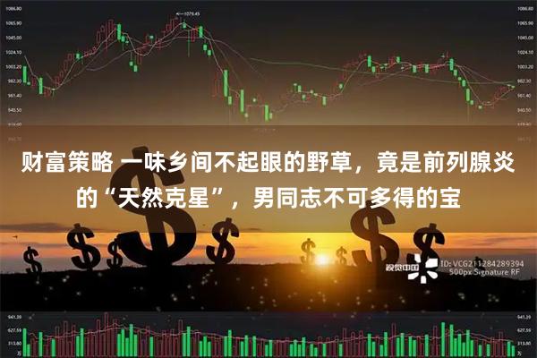 财富策略 一味乡间不起眼的野草,竟是前列腺炎的“天然克星”,男同志不可多得的宝
